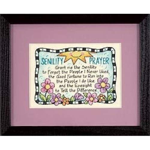 Senility Prayer Stamped CrossStitch kit