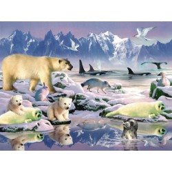 Arctic jigsaw puzzle by Sunsout - 500 piece *Last one*