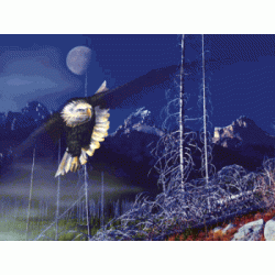 Misty Moonlight Jigsaw Puzzle By Sunsout - 500 Pieces *Last One*