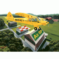 Round the Patch Jigsaw Puzzle